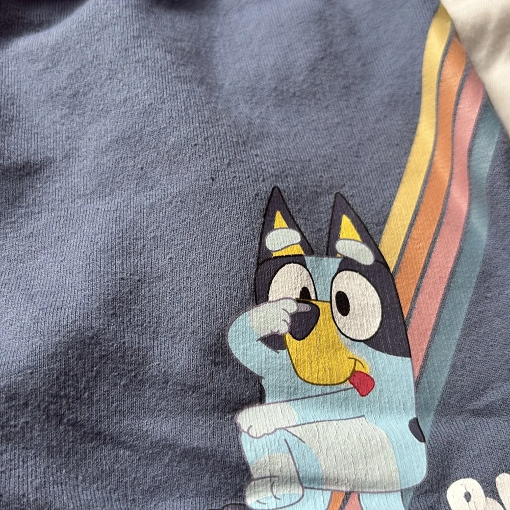 Bluey Hooray T shirt Shorts Set